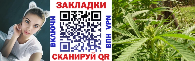 Где найти наркотики Княгинино Марихуана Кокаин Меф