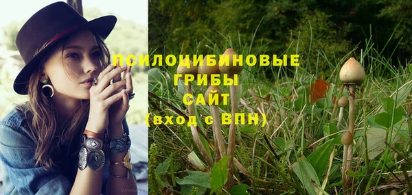 крисы Братск
