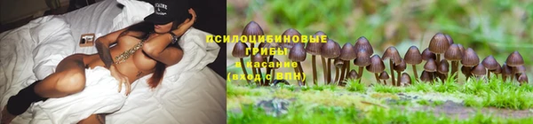 ALPHA-PVP Майский