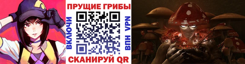Псилоцибиновые грибы Magic Shrooms  Княгинино 