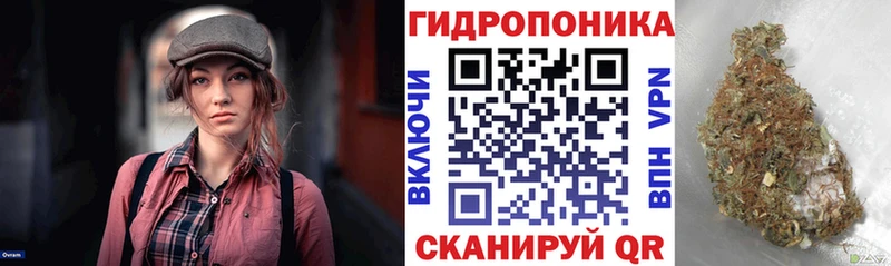 Шишки марихуана семена  Княгинино 